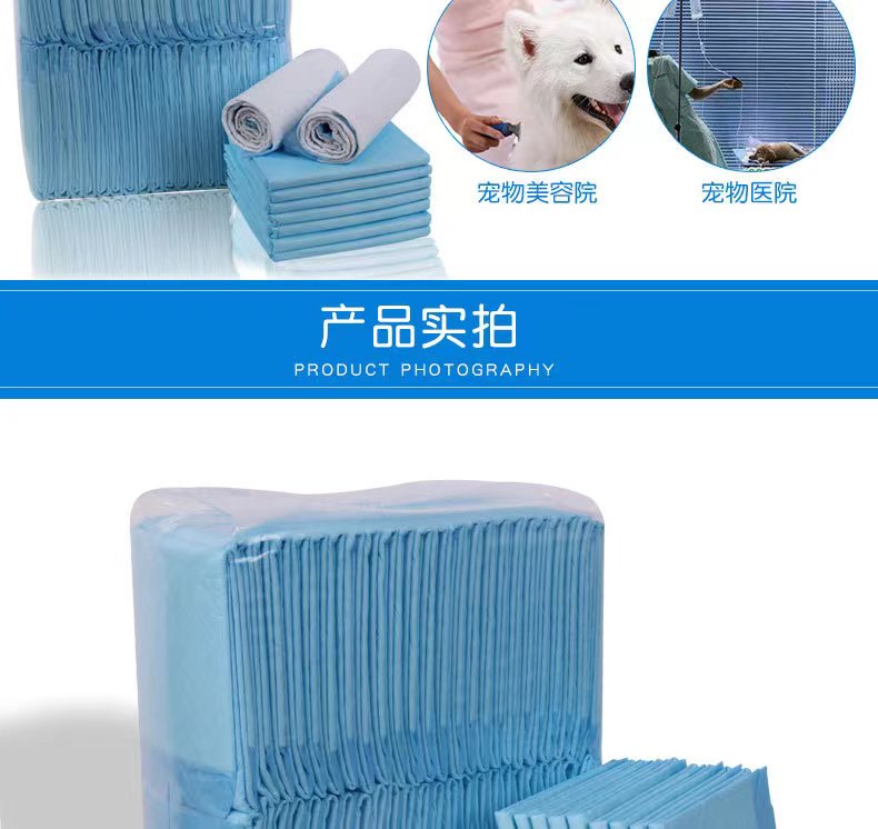 Shop and buy Disposable Classic Training Pee Pad with Quick-dry Surface for Pet Training Comfortable Skin-friendly| Casefactorie® online with great deals and sales prices with fast and safe shipping. Casefactorie is the largest Singapore official authorised retailer for the largest collection of household and home care items.