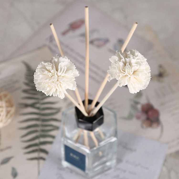 Shop and buy Hand-Made Sola Flower Aromatherapy Reed Diffuser Tetrapanax Papyrifer Dried Simulated Flowers| Casefactorie® online with great deals and sales prices with fast and safe shipping. Casefactorie is the largest Singapore official authorised retailer for the largest collection of household and home care items.
