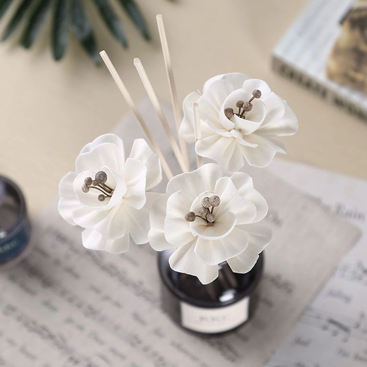 Shop and buy Hand-Made Sola Flower Aromatherapy Reed Diffuser Tetrapanax Papyrifer Dried Simulated Flowers| Casefactorie® online with great deals and sales prices with fast and safe shipping. Casefactorie is the largest Singapore official authorised retailer for the largest collection of household and home care items.