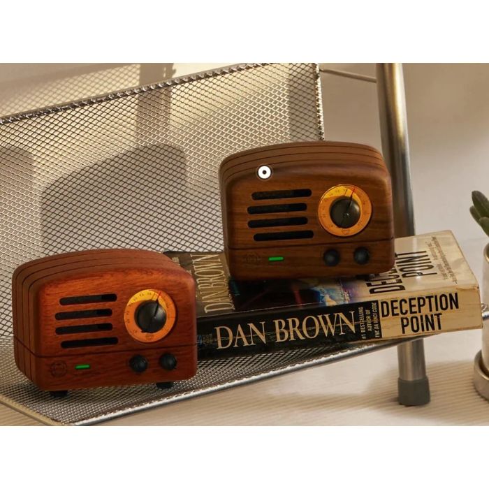 Fm radio speaker store online